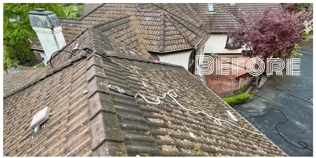 Before a King Roof Care replacement